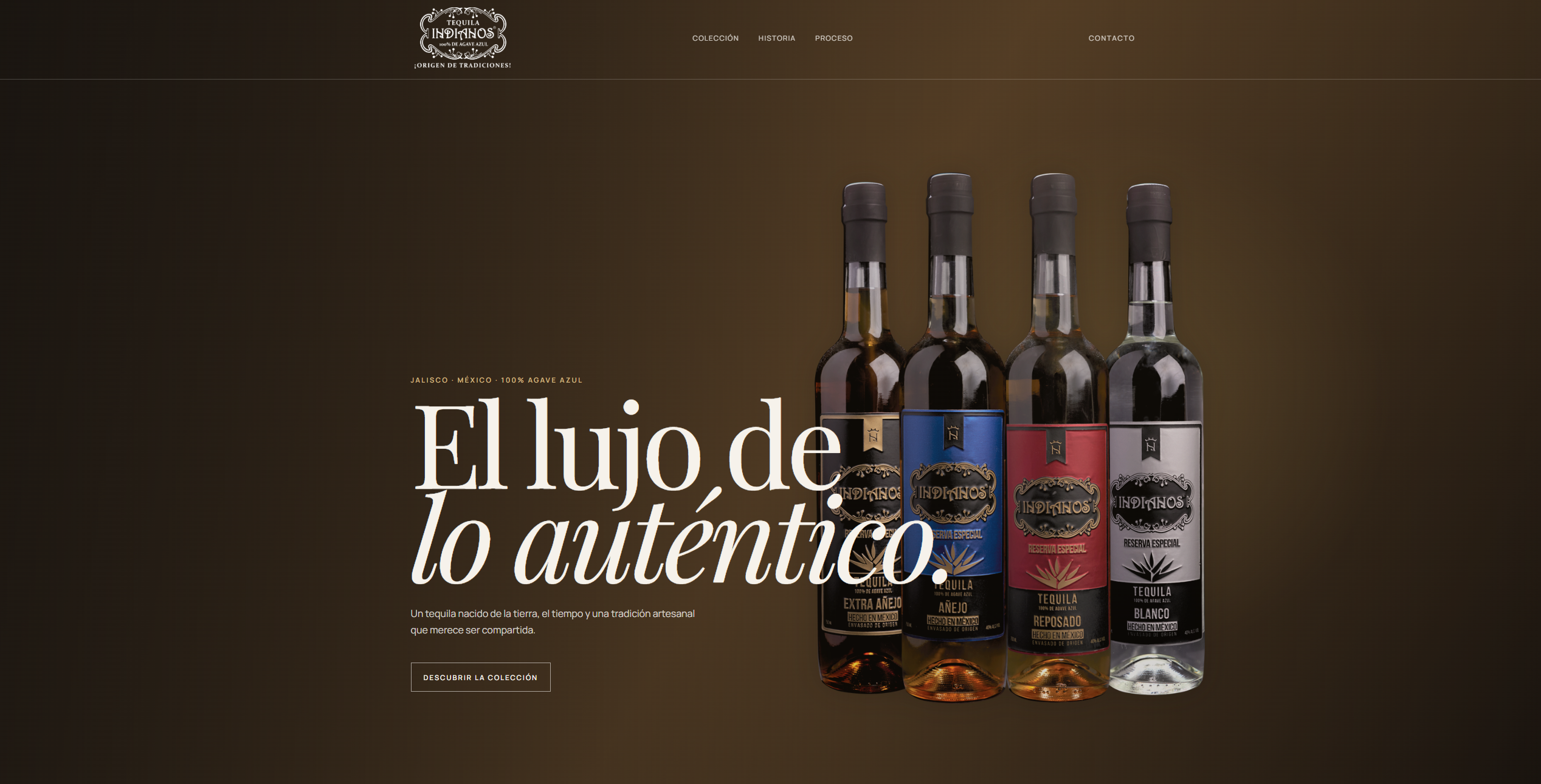 Captura del proyecto indianos